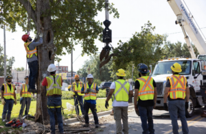 Construction News for Arborist Near Me Memphis